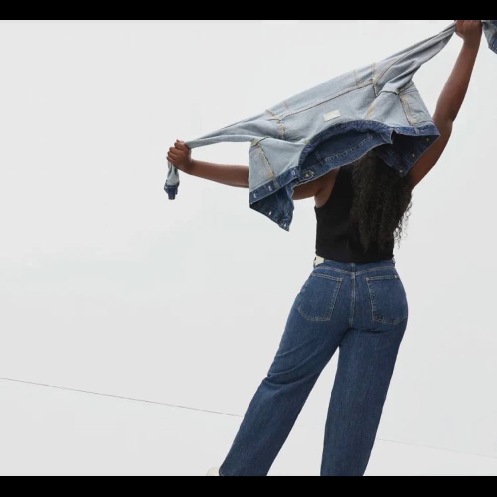 Everlane Way High Baggy Jean